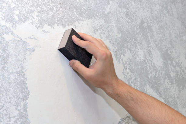 Best Real Estate Mold Inspection  in Payson, IL