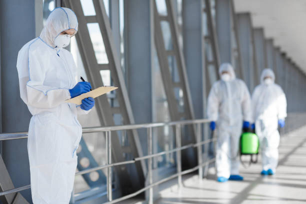 Best Mold-Related Health Consultation  in Payson, IL