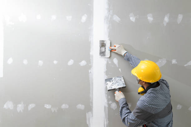 Best Comprehensive Air Testing for Mold Contaminants  in Payson, IL