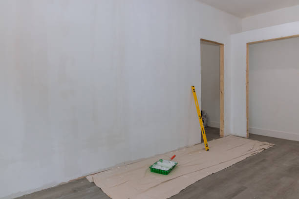 Best Industrial Mold Remediation  in Payson, IL
