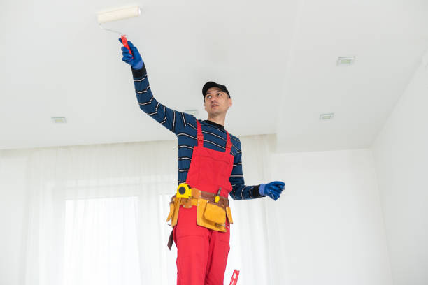 Best Water Damage & Mold Remediation  in Payson, IL