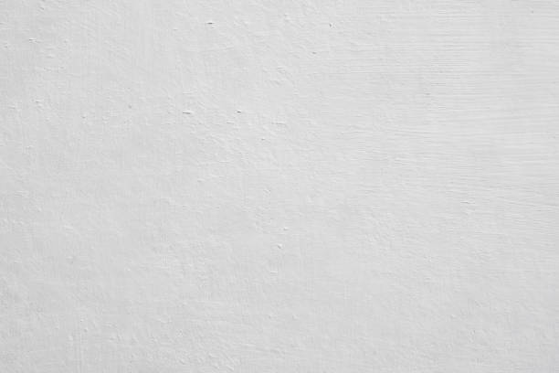 Best Black Mold Removal  in Payson, IL