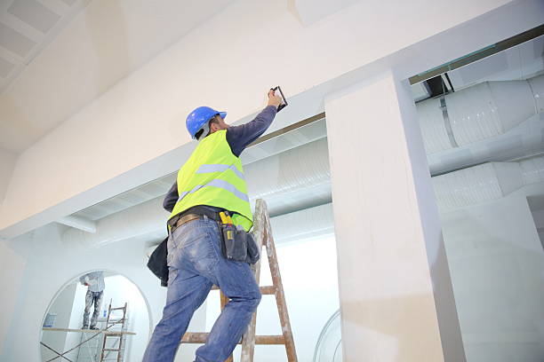Best Mold Documentation for Insurance Claims  in Payson, IL