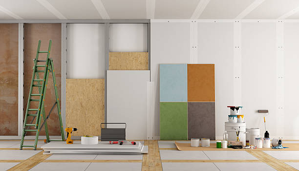 Best Commercial Mold Inspection  in Payson, IL